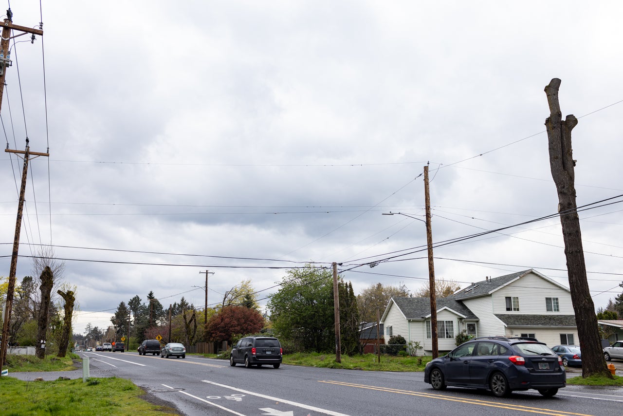 Se han talado árboles a lo largo de Powell Street en el sureste de Portland para el Proyecto Outer Powell del Departamento de Transporte de Oregón, una iniciativa para crear condiciones viales más seguras para automóviles, ciclistas y peatones.  Se estima que se eliminarán unos 570 árboles de un área designada como isla de calor.
