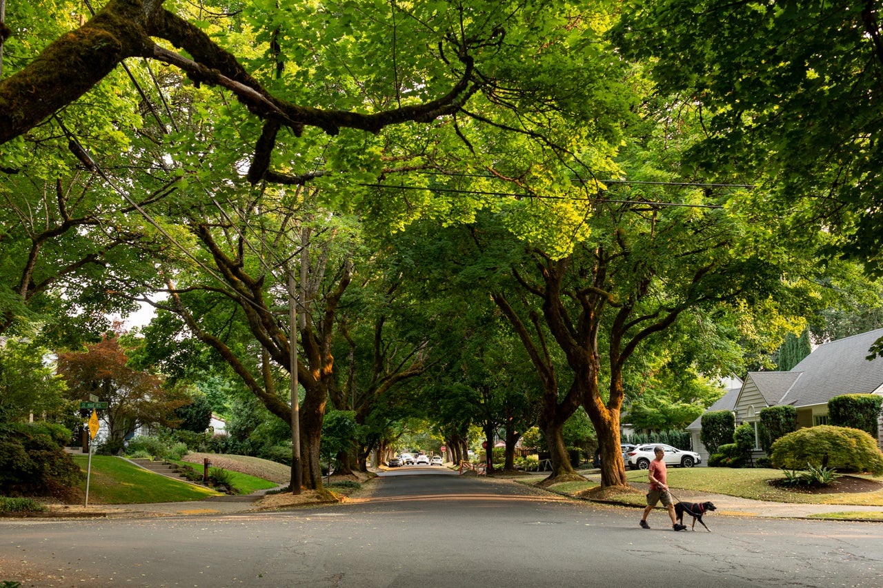 El vecindario de Eastmoreland en el sureste de Portland, donde la puntuación de equidad de árboles es 100.