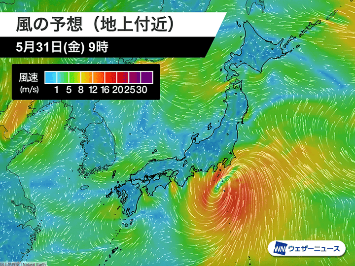 風の予想（地上付近）