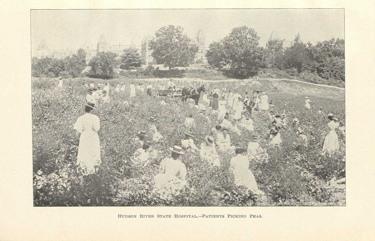 Patients picking peas from the 1900 Hudson River State Hospital Annual Report.