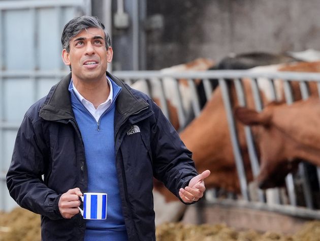 Rishi Sunak during a visit to Rowlinson's Farm, a dairy, beef, sheep farm in Gawsworth, Macclesfield, on Friday.