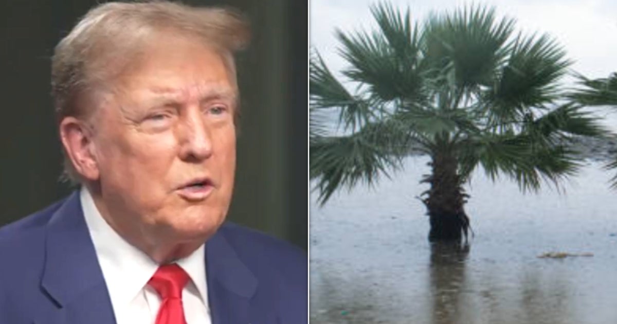 Donald Trump's 'Nonsensical' Jab At Rising Sea Levels Is Hit By Wave Of Mockery