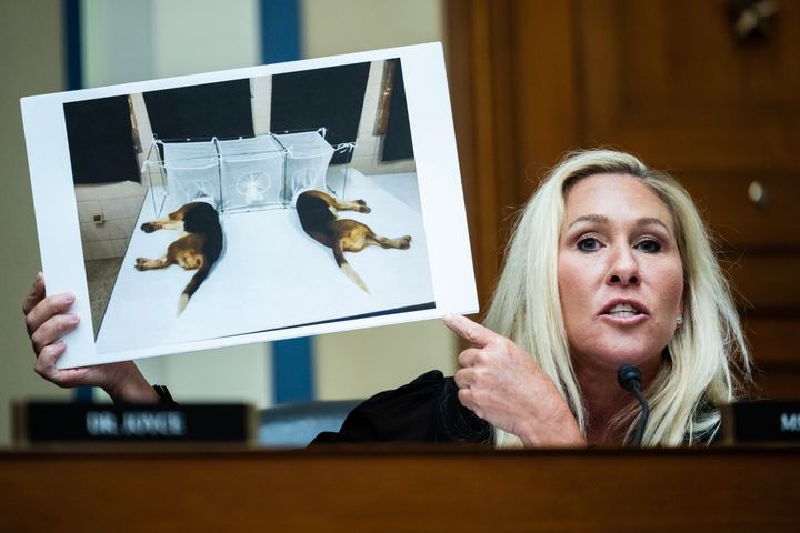 Rep. Marjorie Taylor Greene (R-Ga.) on Monday holds up a picture of dogs that she said were used in testing funded by the National Institute of Allergy and Infectious Diseases while questioning Anthony Fauci, who is the NIAID's former director.