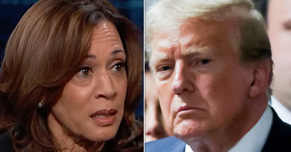 Kamala Harris Smacks Trump With Blunt Reality Check Over 'Cheaters'