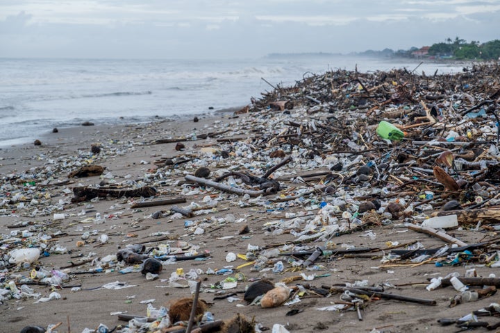 プラスチックごみで溢れる海岸