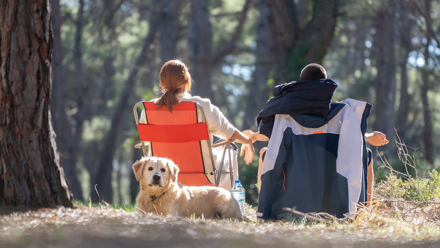 This Is Everything You Need To Bring Your Dog Camping With You