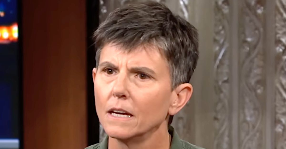 Tig Notaro's 7-Year-Old Sons Just Found Out She And Her Wife Are Gay