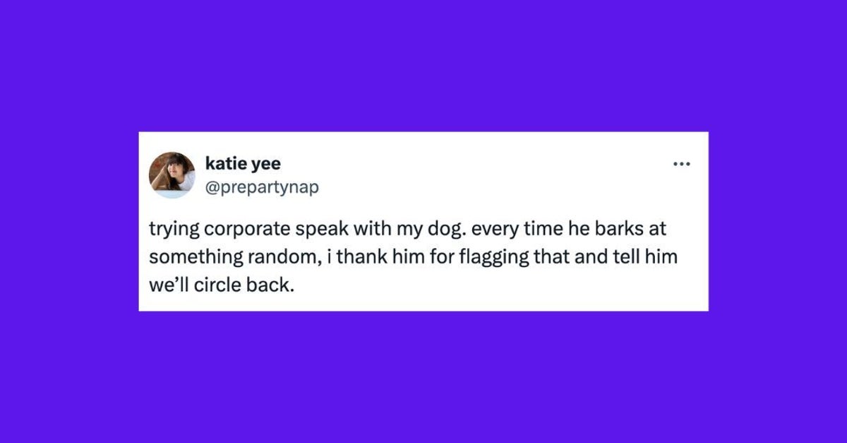 25 Of The Funniest Tweets About Cats And Dogs This Week (June 1-7)