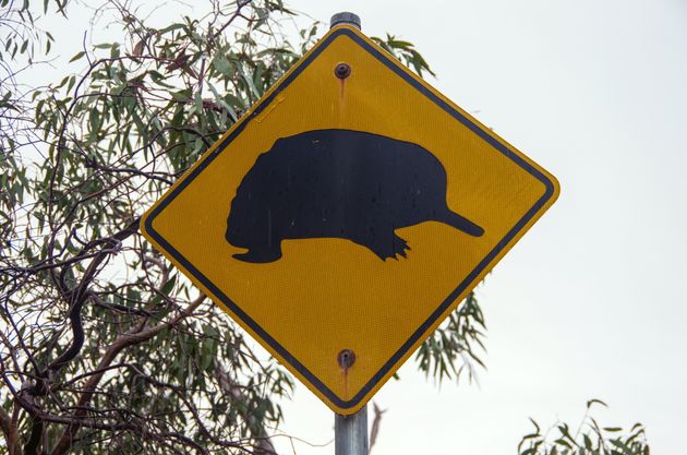 南オーストラリア州に設置された、ハリモグラのシルエットが描かれた野生動物横断の標識