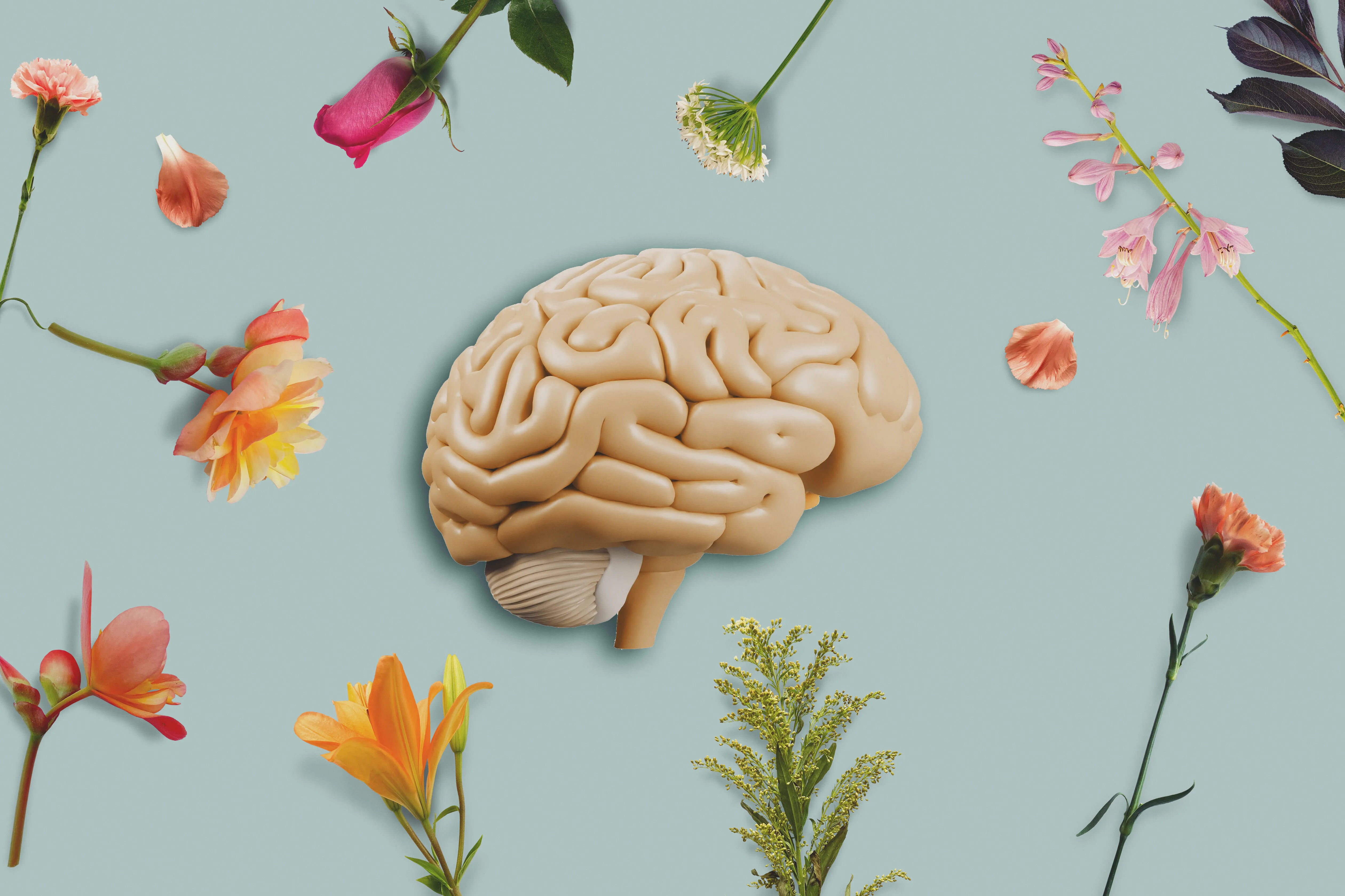 4 Changes You Can Make Right Now To Boost Your Brain Health