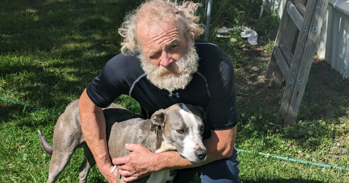Meet Blue, The Dog Who Traveled 4 Miles To Get Help For Owner Trapped ...