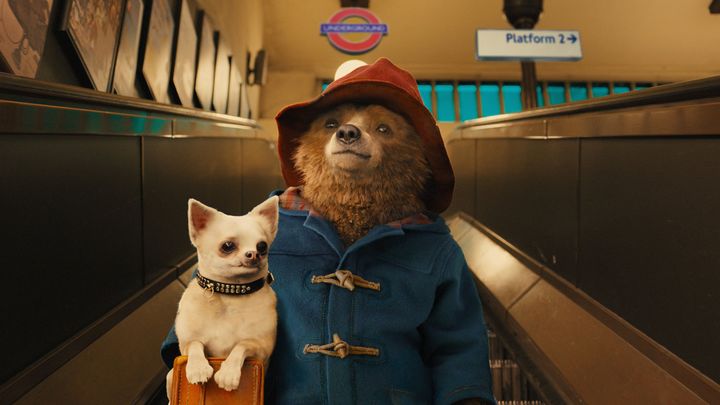 Paddington is back for a whole new adventure