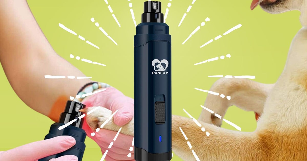 NextImg:This 'Stress-Free' Electric Nail File Takes The Guess Work Out Of Pet Claw Care