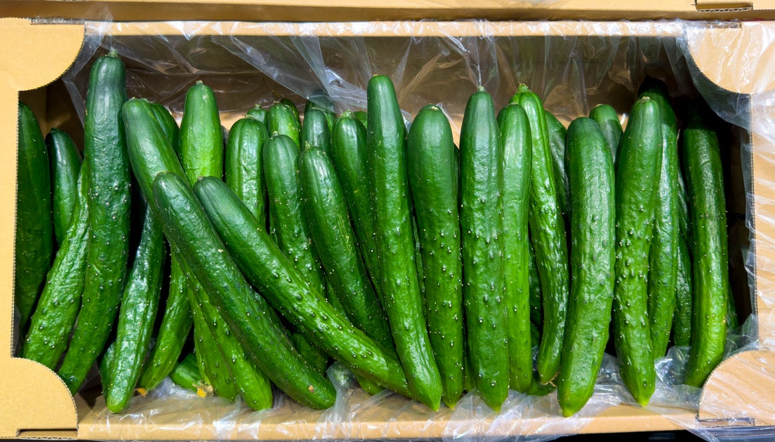 【きゅうりとカニカマの相性は最強】切って和えるだけ！子供もパクパク食べちゃう。きゅうりのデリサラダレシピ