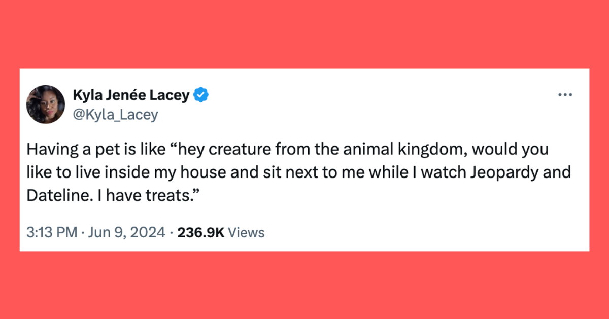 20 Of The Funniest Tweets About Cats And Dogs This Week (June 8-14)