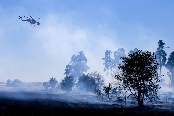 Πυρκαγιά στη Λάρισα στην περιοχή των Εργατικών Κατοικιών Αγίου Θωμά. Παρασκευή 14 Ιουνίου 2024 (EUROKINISSI)