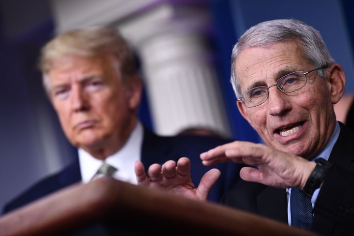 Dr. Anthony Fauci appears beside Donald Trump at a 2020 press briefing on COVID-19.