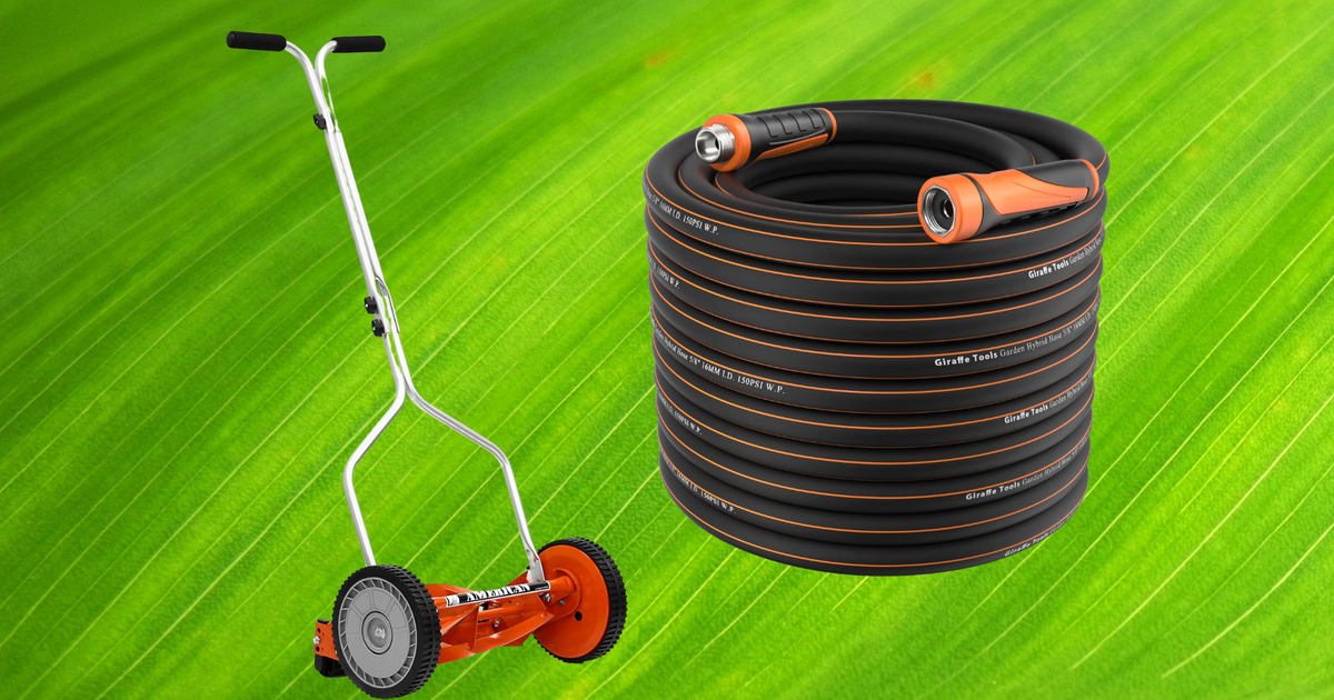 NextImg:Reviewers Swear By These 8 Useful Things For Their Lawns