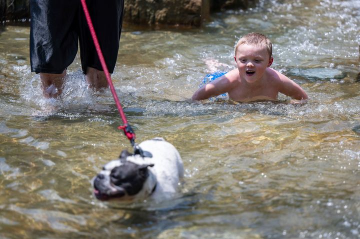 Der sechsjährige James Charles Liptak und sein Hund Rumble schützen sich vor der drückenden Hitze, indem sie am Montag, den 17. Juni 2024, auf den Wasserstufen neben dem PNC Park an der Nordküste von Pittsburgh spazieren gehen. (Lucy Schally/Pittsburgh Post-Gazette über AP )