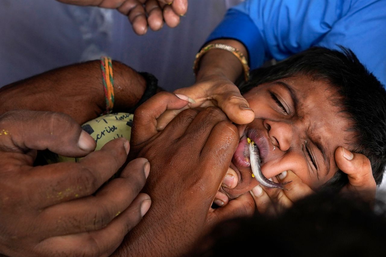 Χαϊντεραμπάντ, Ινδία: Εθελοντές ανοίγουν με το ζόρι το στόμα ενός παιδιού με άσθμα για να του χορηγήσουν το «θαυματουργό ψάρι» - Σάββατο 8 Ιουνίου 2024