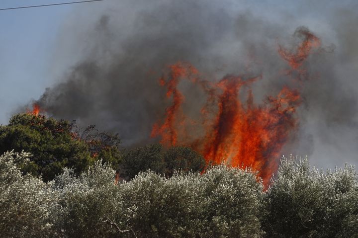 Δέντρα στις φλόγες - Εικόνα από τοπ πύρινο μέτωπο στο Κορωπί, Τετάρτη 19 Ιουνίου 2024