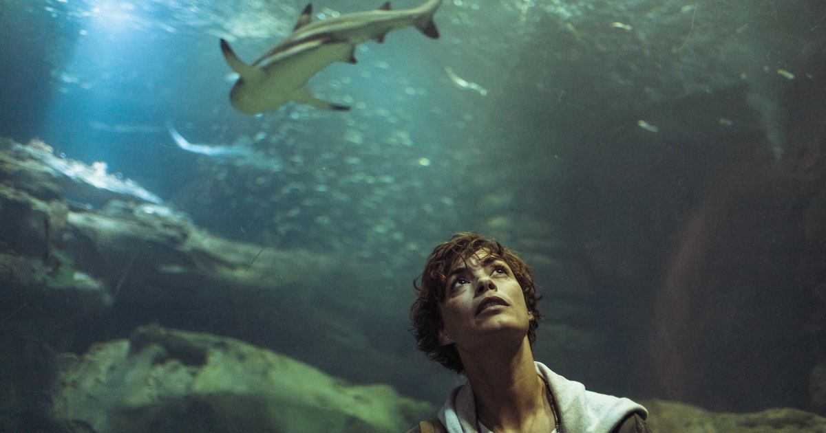 8 Brilliantly Bonkers Shark Attack Movies To Sink Your Teeth Into If You Loved Under Paris