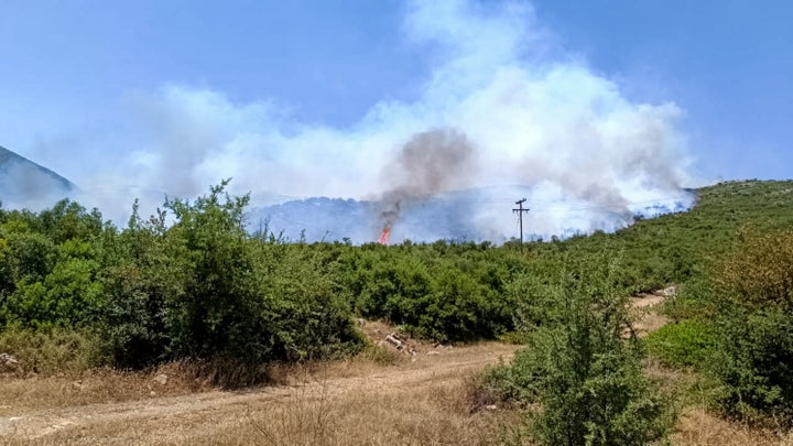 Πυρκαγιά που έχει εκδηλωθεί στην περιοχή της Λυρκείας Αργολίδας. Παρασκευή 21 Ιουνίου 2024 (ΔΗΜΟΣ ΑΡΓΟΥΣ - ΜΥΚΗΝΩΝ / EUROKINISSI)