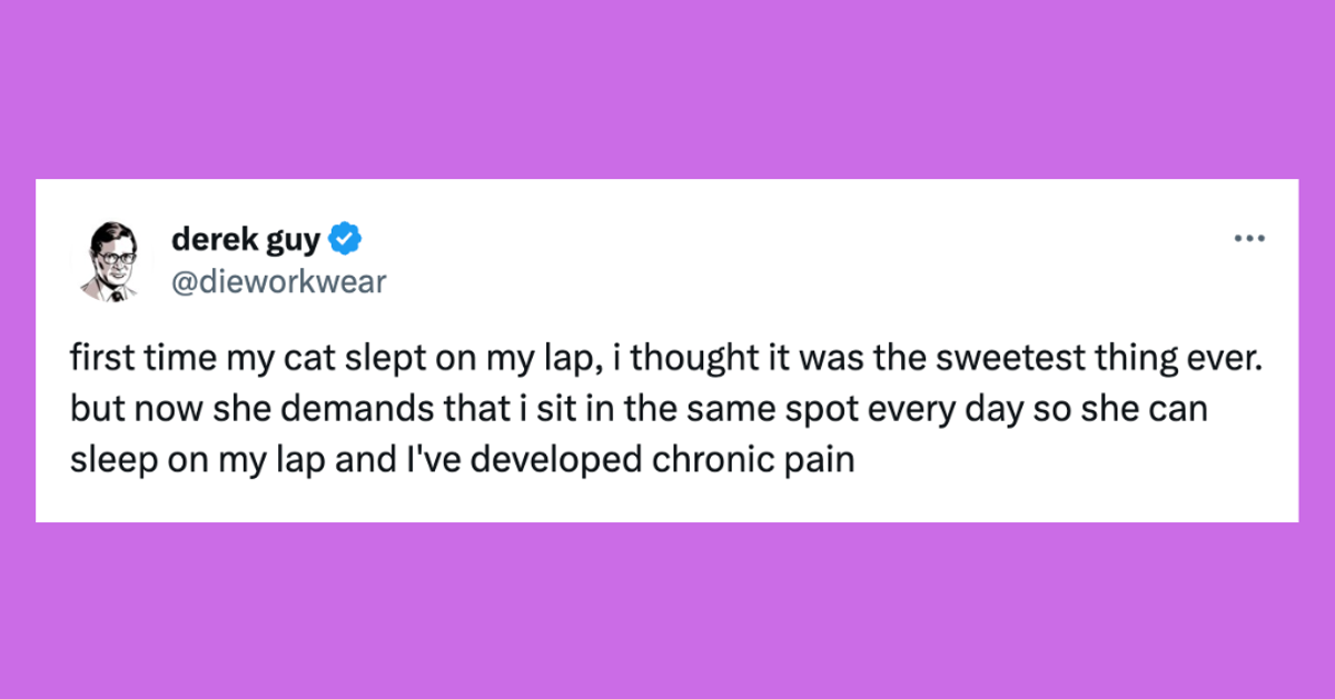 23 Of The Funniest Tweets About Cats And Dogs This Week (June 15-21)