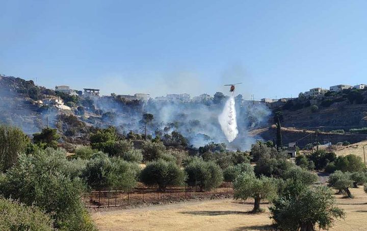 ΑΡΓΟΛΙΔΑ - ΠΥΡΚΑΓΙΑ ΣΤΟ ΚΡΑΝΙΔΙ. (EUROKINISSI-ΛΕΥΤΕΡΗΣ ΔΑΓΡΕΣ)