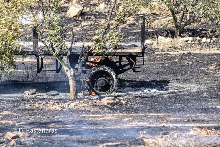 Πυρκαγιά στην Αμφιθέα: Μάχη με τις φλόγες δίνουν επίγειες δυνάμεις της ΠΥΛ με τη συνδρομή του Δ. Λαρισαίων