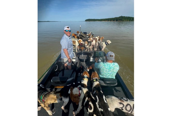 Fisher Brad Carlisle, left, and fishing guide Jordan Chrestman bring one of three boatloads of dogs back to shore after they were found struggling to stay above water far out in Mississippi's Grenada Lake.