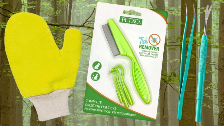 A handy tick glove, a trio of removers with a flea comb and a pair of removal tools for humans and pets.