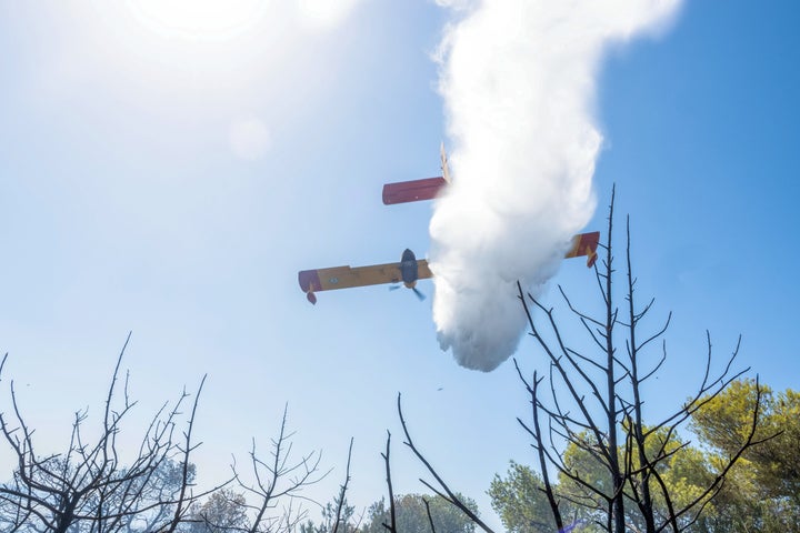 Πυρκαγιά στη Νέα Αρτάκη στην Εύβοια. Τρίτη 25 Ιουνίου 2024