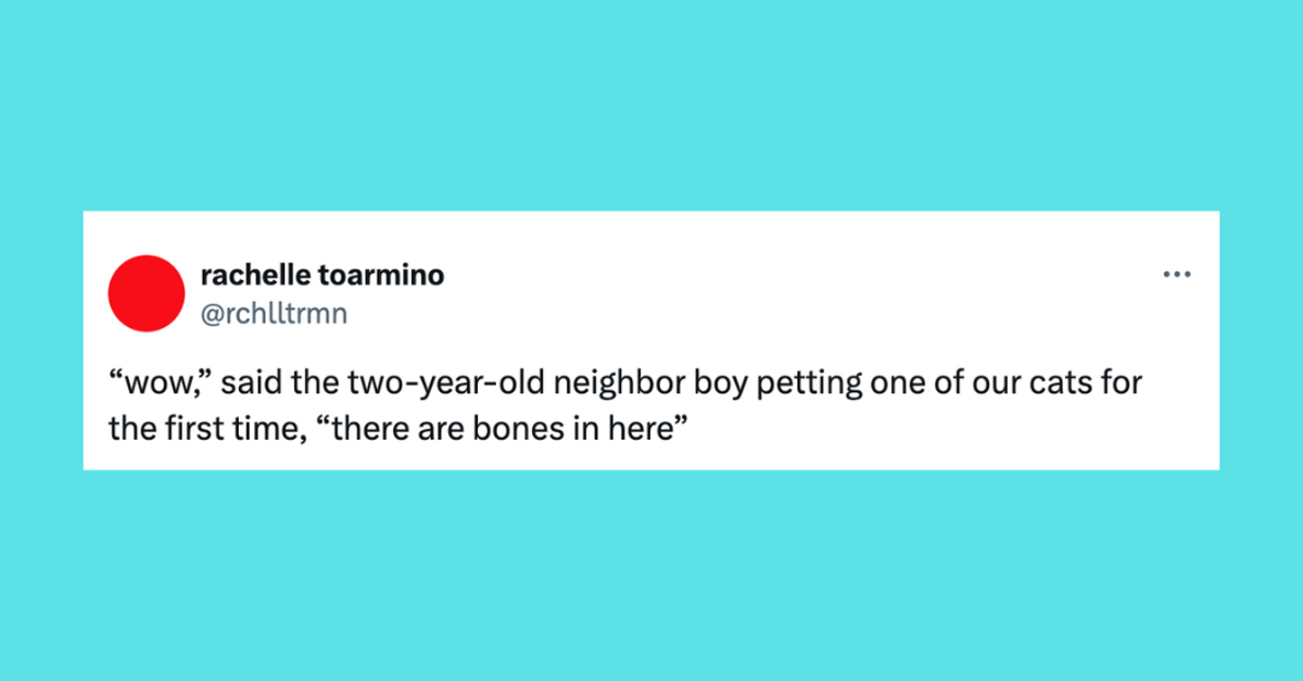 22 Of The Funniest Tweets About Cats And Dogs This Week (June 22-28)