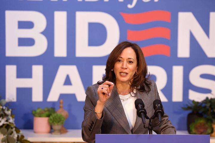Vice President Kamala Harris, an increasingly prominent surrogate for Biden, has a dedicated constituency within the Democratic Party, but also detractors who worry about her electability.