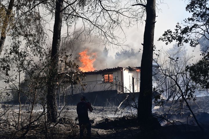 Πυρκαγιά στην Σταμάτα Αττικής, Κυριακή 30 Ιουνίου 2024. (ΜΙΧΑΛΗΣ ΚΑΡΑΓΙΑΝΝΗΣ/EUROKINISSI)
