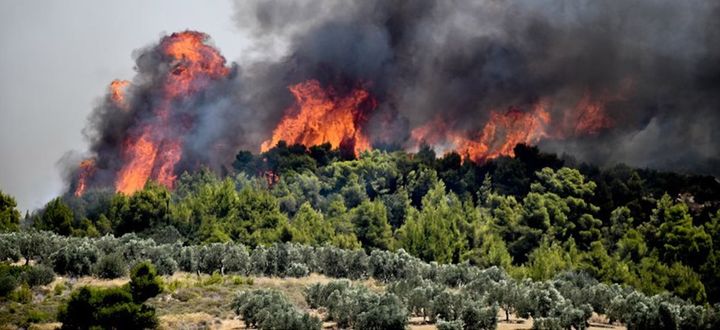 Ηράκλειο: Φωτιά σε περιοχή του Δήμου Βιάννου - Εστάλη μήνυμα 112 στους κατοίκους