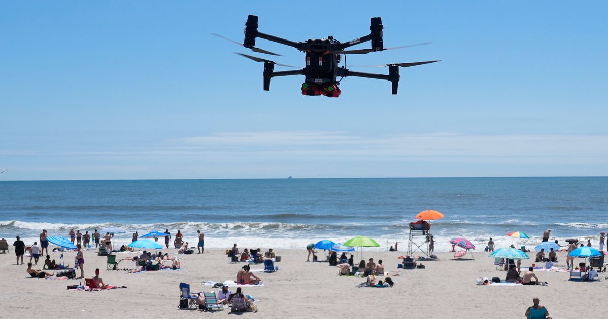 Angry Birds Are Battling Drones Patrolling New York City's Beaches