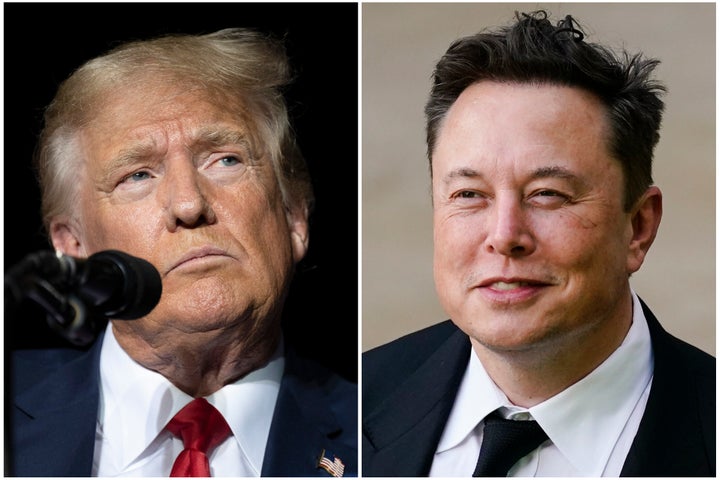 Donald Trump and Elon Musk.