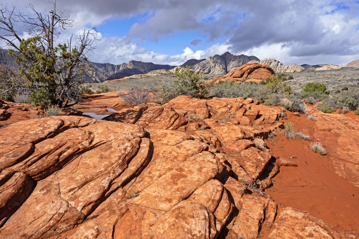 Eine 30-jährige Frau wurde am Samstag ebenfalls tot im Snow Canyon State Park aufgefunden, wie auf dem Foto zu sehen ist.  Ihre Eltern wurden bei einem Hitzeunfall in der Nähe aufgefunden und ins Krankenhaus gebracht.