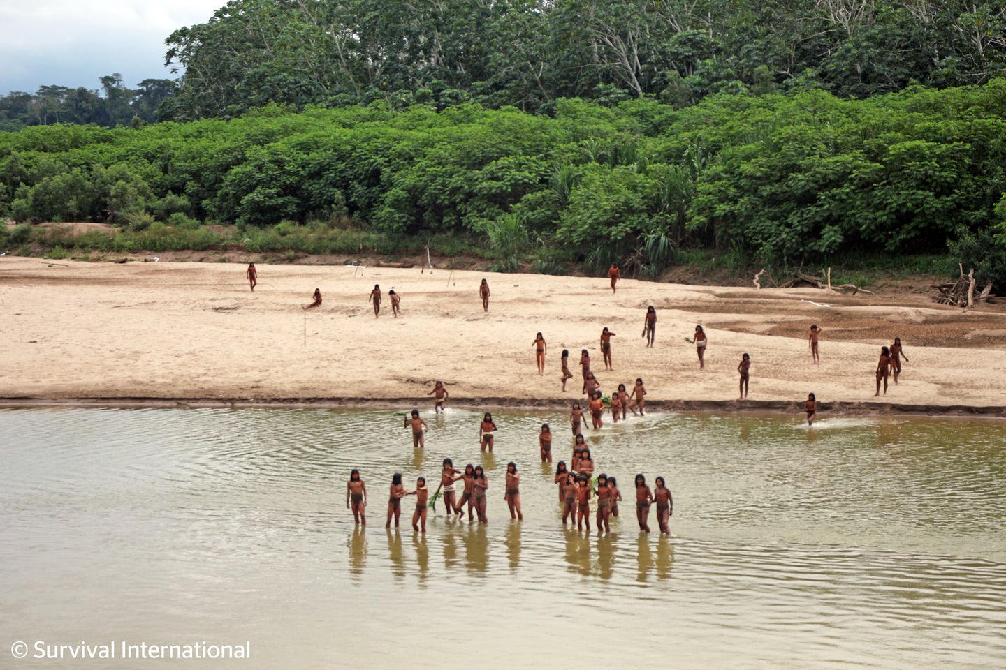 Rare Video Shows Isolated Indigenous Tribe Emerging From Amazon Amid ...