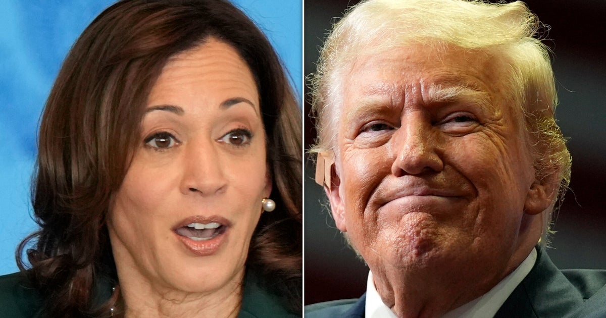 NextImg:Kamala Harris' 5-Year-Old Warning About Trump Looks Even More Timely Today