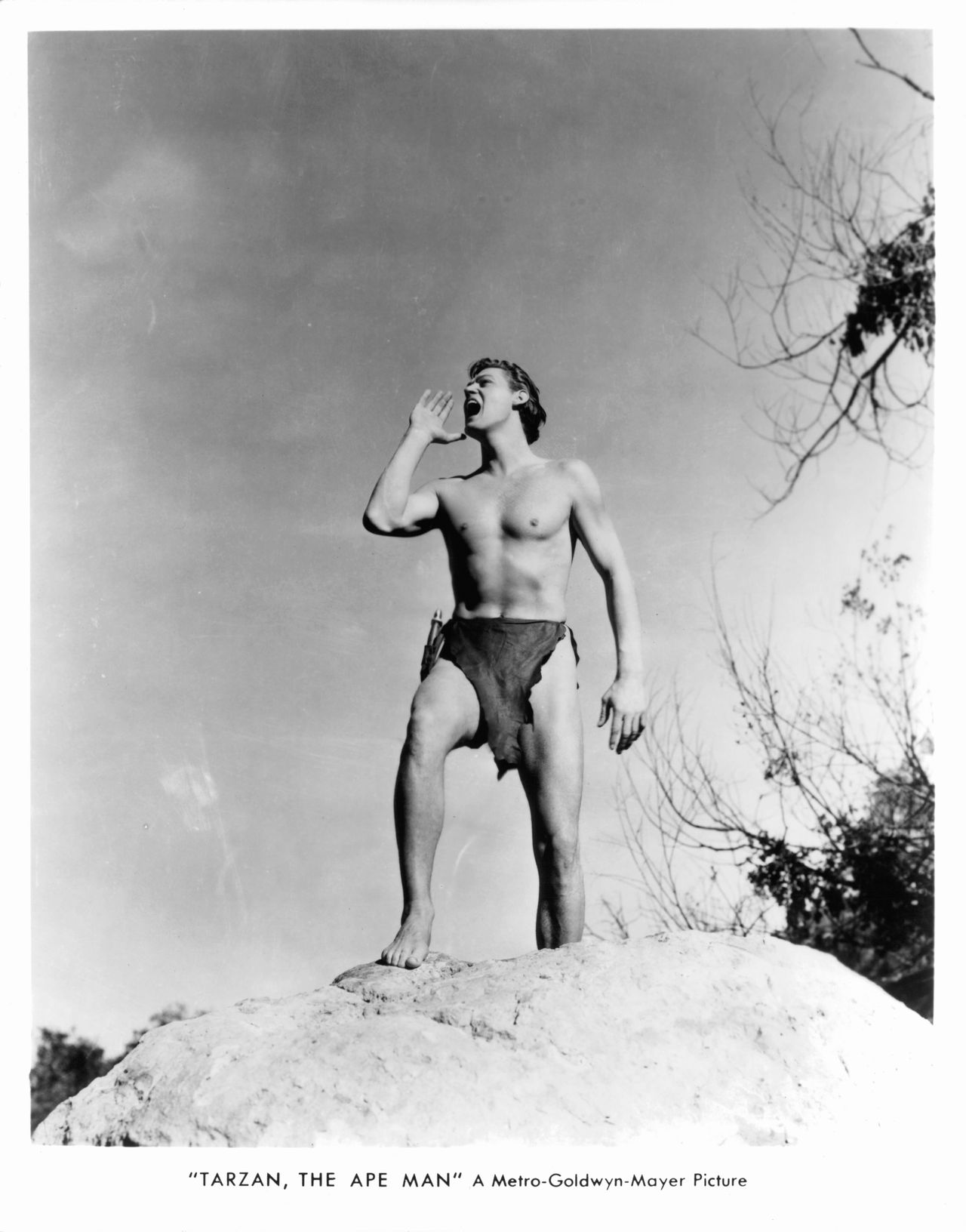  Ο Johnny Weissmuller βγάζει τη διάσημη κραυγή του σε μια σκηνή από την ταινία «Tarzan, The Ape Man», 1932. (Photo by Metro-Goldwyn-Mayer/Getty Images)