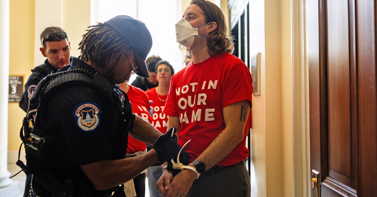 NextImg:Pro-Palestinian Protesters Arrested At Capitol As Netanyahu Arrives In Washington