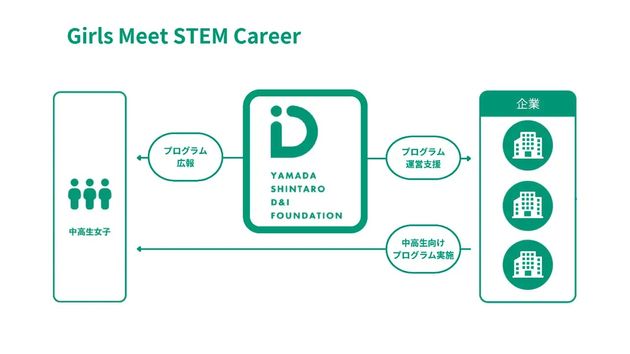 Girls Meet STEM Career