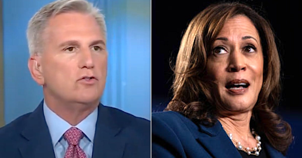 NextImg:Kevin McCarthy Goes To Town On ‘Stupid And Dumb’ GOP Attacks On Kamala Harris