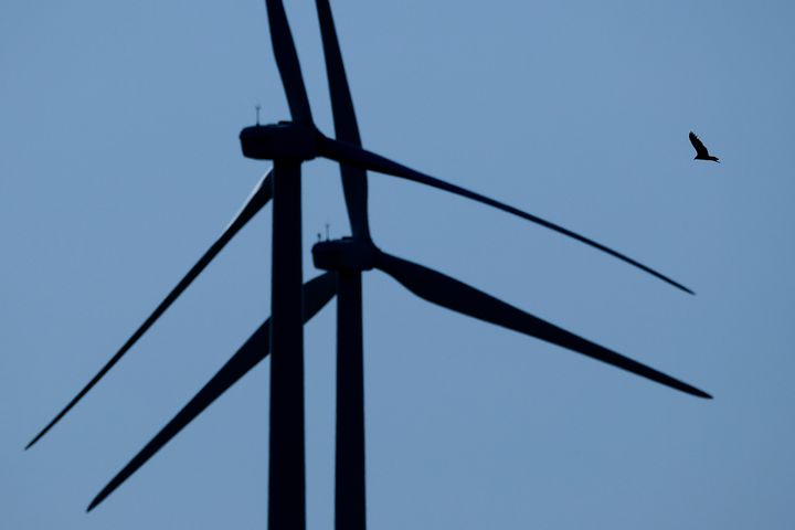 A bird flies among wind turbines near King City, Mo. Hawks 