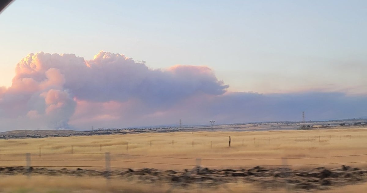 NextImg:Man Arrested After Allegedly Starting Wildfire By Pushing Burning Car Into Gully