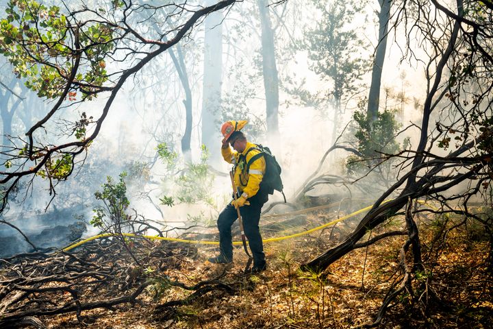 A firefighter pauses while trying to keep the Park Fire from jumping Highway 32 near Forest Ranch in Butte County, California, Friday, July 26, 2024.