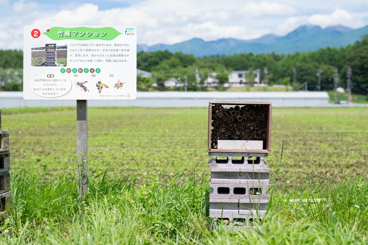 八ヶ岳をのぞむ畑には、アオムシを捕まえるドロバチの巣となる「竹筒マンション」が設置されている